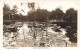 Australie - The Royal Series No 23 - Queen's Garden, Perth, W.A. - Edit. Ratcliffe - Carte Postale Ancienne - Other & Unclassified