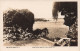 Australie - The Royal Series No 24 - Swan River, From Mt. Eliza, Perth, W.A. - Carte Postale Ancienne - Other & Unclassified