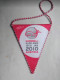 Official Pennant Handball EURO-MEN 2010 Austria - Handball