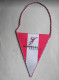 Official Pennant Handball EURO-MEN 2010 Austria - Handball