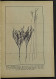 Il Lino - A. D. Delle Rose - Ed. REDA - 1943 - Gardening