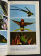 Uccelli Da Gabbia Da Cortile E Da Voliera - A. Lombardi - Ed. Sansoni - 1974 - Animaux De Compagnie