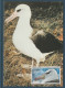 TAAF N° 464/468 OISEAUX SUR 5 CARTES MAXIMUM - FDC