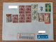Cover Sent From USA To Lithuania Panevezys 2020 Dogs - Lettres & Documents