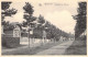 BELGIQUE - WAREMME - Boulevard Des Platanes - Carte Postale Ancienne - Otros & Sin Clasificación