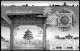 Delcampe - HONG KONG [SAR] 1998-2010 + 2011-2020 STAMP ALBUM PAGES (309 B&w Illustrated Pages) - English