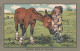 Delcampe - Shepheard Artist Image, Rather Hard Of Hearing, Man With Horse C1910s/20s Vintage Postcard - Shepheard