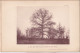 Aunay-les-Bois (Orne 61) Chênes Du Parc D'Aunay-les-Bois - 2 Planches - Photographié Le 23 Avril 1895 - Andere Plannen