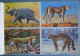 LIVRE D'IMAGES EDUCATIVES N°3 ANIMAUX SAUVAGES ALBERT ARNAUD 64 SUJETS CIRCA 1960 - Chromos