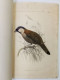 ASIATIC SOCIETY OF BENGAL 1878 JOURNAL PART II No.I, 3 DIFFERENT LITHOGRAPHY PLATES OF TIGER TEETH & BIRDS, COMPLETE - Wissenschaften