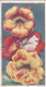 28 Mimulus  - Annuals 1939 - Godfrey Phillips Cigarette Card - Original - Phillips / BDV