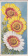 8 Chrysanthemum  - Annuals 1939 - Godfrey Phillips Cigarette Card - Original - Phillips / BDV