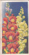 3 Antirrhinum - Annuals 1939 - Godfrey Phillips Cigarette Card - Original - Phillips / BDV