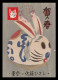 Japan 2022 Year Of Rabbit Maximum Card Maxicard Fauna Zodiac - Nuovi