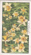 39 Daffodils  - Garden Flowers 1938 - Gallaher Cigarette Card - Original - - Gallaher