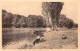 BELGIQUE - Tervuren - Le Parc - Carte Postale Ancienne - Tervuren