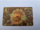 DOMINICA / $10,- GPT CARD / DOM - 9A  / ANEMONE       Fine Used Card  ** 13333 ** - Dominique