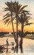 ALGERIE - Scènes Et Types - Paysage Du Sud - Carte Postale Ancienne - Scenes