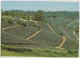 Australia QUEENSLAND QLD Pineapple Farm SUNSHINE COAST Kuskopf 179 Postcard C1970s - Sunshine Coast