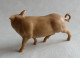 FIGURINE Marque Inconnue  - ANIMAUX ANIMAL DE LA FERME - COCHON DEBOUT (3) Pas Clairet Starlux - Schweine