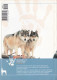 Portugal 1998 Guia Pedagógico Dos Animais De Estimação Cão O Grande Amigo Do Homem História Origens E Raças N.º 1 - Pratique