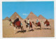 AK 134880 EGYPT - Giza - Pyramids - Pyramides