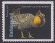 Delcampe - USA New ** 2023 Endangered Species, Reptile,Snake,Fish,Parrot,Frog,Rat,Rabbit,Bird,Panther,Wolf,Quail,20v MNH (**) - Nuovi