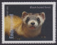 Delcampe - USA New ** 2023 Endangered Species, Reptile,Snake,Fish,Parrot,Frog,Rat,Rabbit,Bird,Panther,Wolf,Quail,20v MNH (**) - Neufs