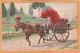 Rome Types Transport Wine Italy Old  Postcard Mailed - Transports