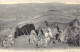 ALGERIE - Scènes & Types - Types Arabes Nomades - Carte Postale Ancienne - Plaatsen