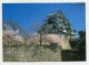 AK 136693 JAPAN - Nagoya Castle - Nagoya