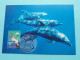 PLANET OCEAN ( Set Of 6 ) Stamp Design By Wayne Rankin - Stamp Deepwater NSW @ 1998 ( Voir / See SCANS ) ! - Autres & Non Classés