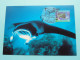Delcampe - PLANET OCEAN ( Set Of 6 ) Stamp Design By Wayne Rankin - Stamp Deepwater NSW @ 1998 ( Voir / See SCANS ) ! - Autres & Non Classés
