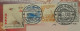 TAIWAN 2023 AIRMAIL DESIGNER TIGER COVER Postally Travelled To INDIA With High Value FISH/ BIRD STAMPS As Scan - Briefe U. Dokumente