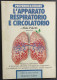 L'Apparato Respiratorio E Circolatorio - A. Poletti - Ed. Musumeci - 1994                                                - Médecine, Psychologie