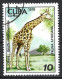 Cuba 1978. Scott #2218 (U) Fauna, Giraffe - Usati