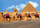 Delcampe - Egypte Lot De 29 Cartes Toutes Scannées - Collections & Lots