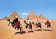 Delcampe - Egypte Lot De 29 Cartes Toutes Scannées - Sammlungen & Sammellose