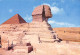 Delcampe - Egypte Lot De 29 Cartes Toutes Scannées - Collections & Lots