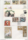 CHINA  BEAUTIFUL COVERS LETTERS  PANDA - 1990-1999