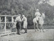 Alte AK Frankreich Um 1910 Motiv PK Les Sports Le Polo / Reitsport / Pferdesport / Polo / Ungebraucht - Ippica