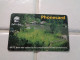 Swaziland Phonecard - Swaziland