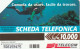 SCEDA TELEFONICA - COMODA DA USARE, FACILE DA TROVARE (2 SCANS) - Public Themes