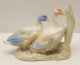 Delcampe - -SUJET DECORATIF 2 CANARDS/OIES PORCELAINE Signée REX VALENCIA HAND MADE SPAIN  E - Autres & Non Classés