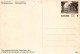 ENTIER POSTAL - The LEGISLATIVE BUILDING FREDERICTON (N.B.) - 1953-.... Reign Of Elizabeth II