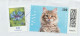 6784 Lettre Cover DEUTSCHLAND ALLEMAGNE 2023 Chat Cat Katze Haus Tiere - Brieven En Documenten