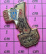 1518B  Pin's Pins / Beau Et Rare / SPORTS / PARACHUTISME TROPHEE ALSACE - Fallschirmspringen