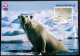 Greenland 2002 Cards   Minr.337    (lot 6291 ) - Covers & Documents