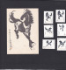 Chine 1978, Cheval , Horse 6 Timbres Neufs Et Carte Postale Yearling - By Xu Beihong, Voir Scan Recto Verso - Ungebraucht