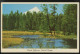 Mount Jefferson Snow Capped Mountain Oregon Postcard 1960 Scenic View - Andere & Zonder Classificatie